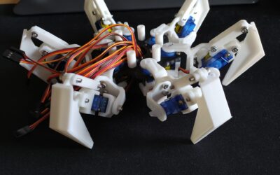 DIY – Hexapod als neue Hausspinne