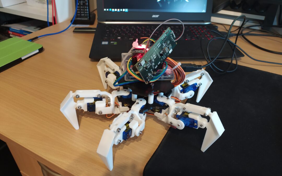 Hexapod – Roboter mit Schüttellähmung